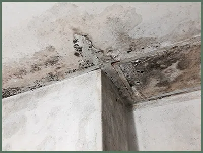 Palm Beach Gardens Restoration Company Palm Beach Gardens, FL 561-396-9129 Palm Beach Gardens Restoration Company Palm Beach Gardens, FL 561-396-9129
