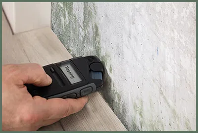 Palm Beach Gardens Restoration Company Palm Beach Gardens, FL 561-396-9129 - mold