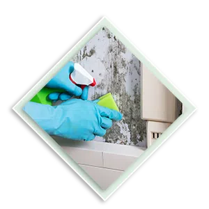 Palm Beach Gardens Restoration Company Palm Beach Gardens, FL 561-396-9129 Palm Beach Gardens Restoration Company Palm Beach Gardens, FL 561-396-9129